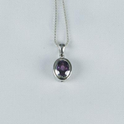 Oval Pendant with Birthstone Necklace