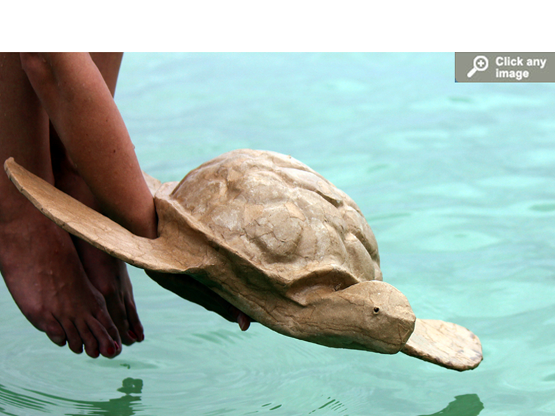 Biodegradable Paper Turtles